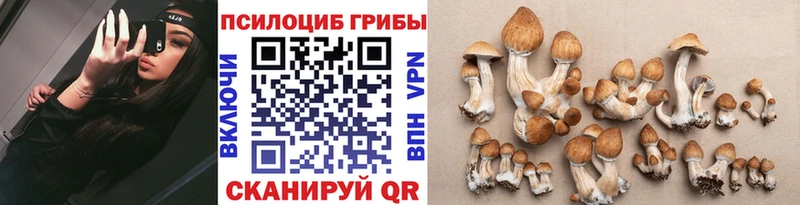 Псилоцибиновые грибы прущие грибы  Байкальск 